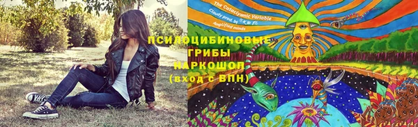 стафф Абдулино