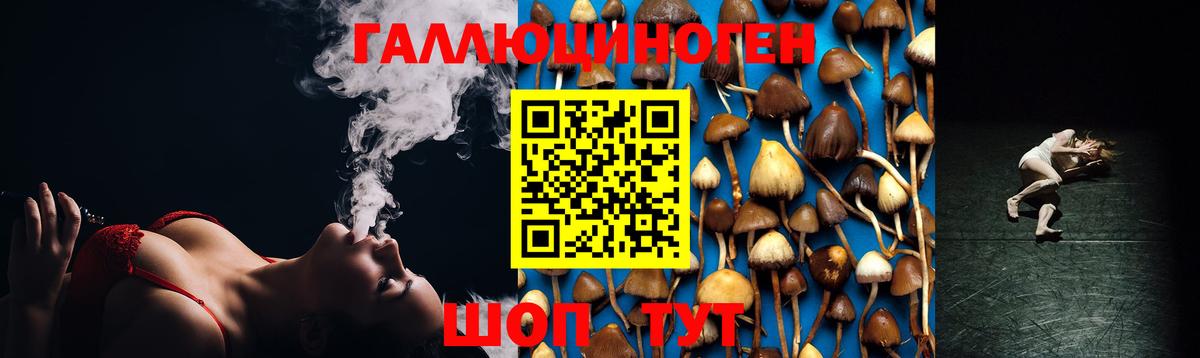 МЕФ Псков