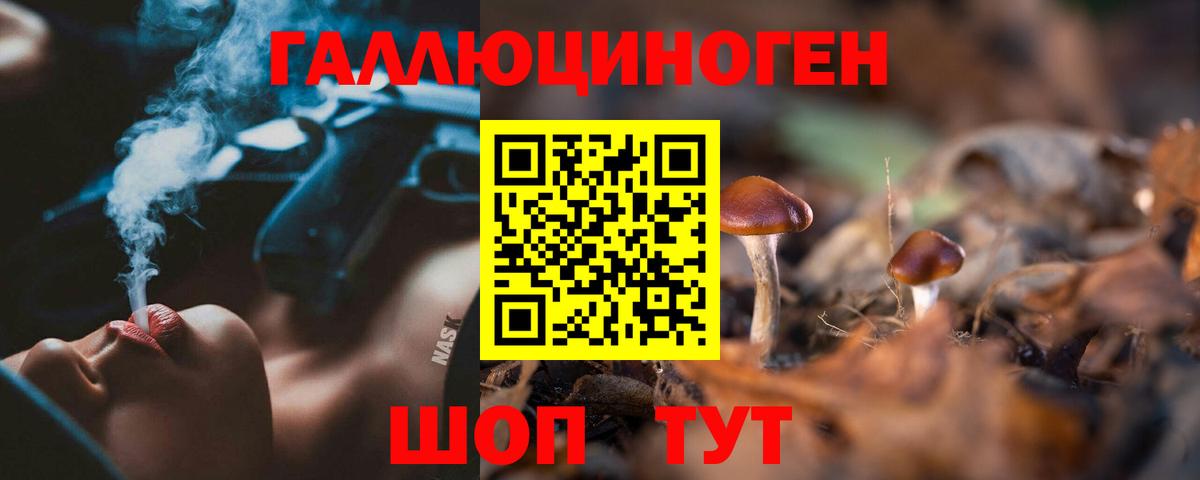 Псилоцибиновые грибы Psilocybe Псков